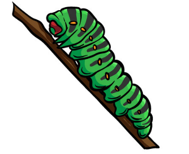Draw a caterpillar – A small step at a time guide