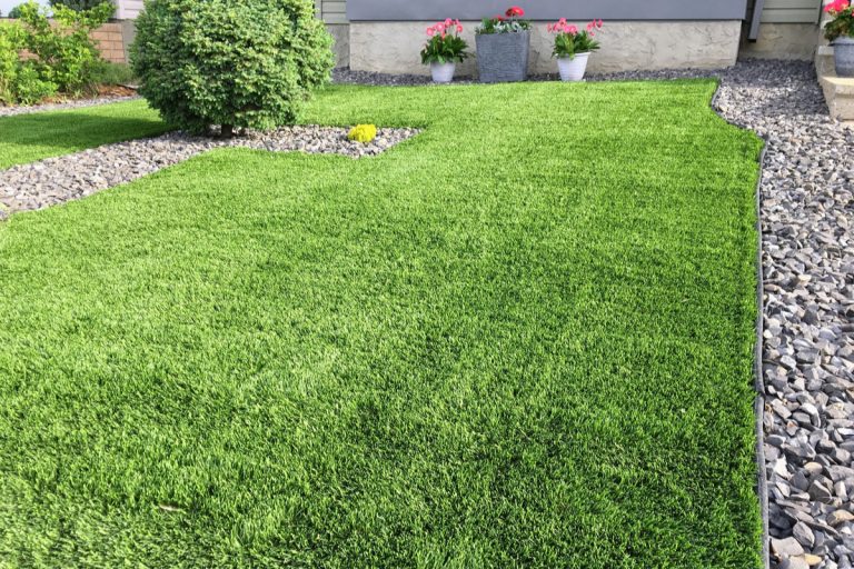 What You Should Know About the Eco-Friendliness of Grass Carpet Choices