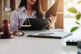 Intellectual Property Lawyer